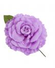 Flower purple