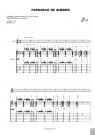 フラメンコの歌と踊りの伴奏方法、第3巻