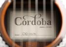 コルドバC10 CD/ナイロン弦ギター